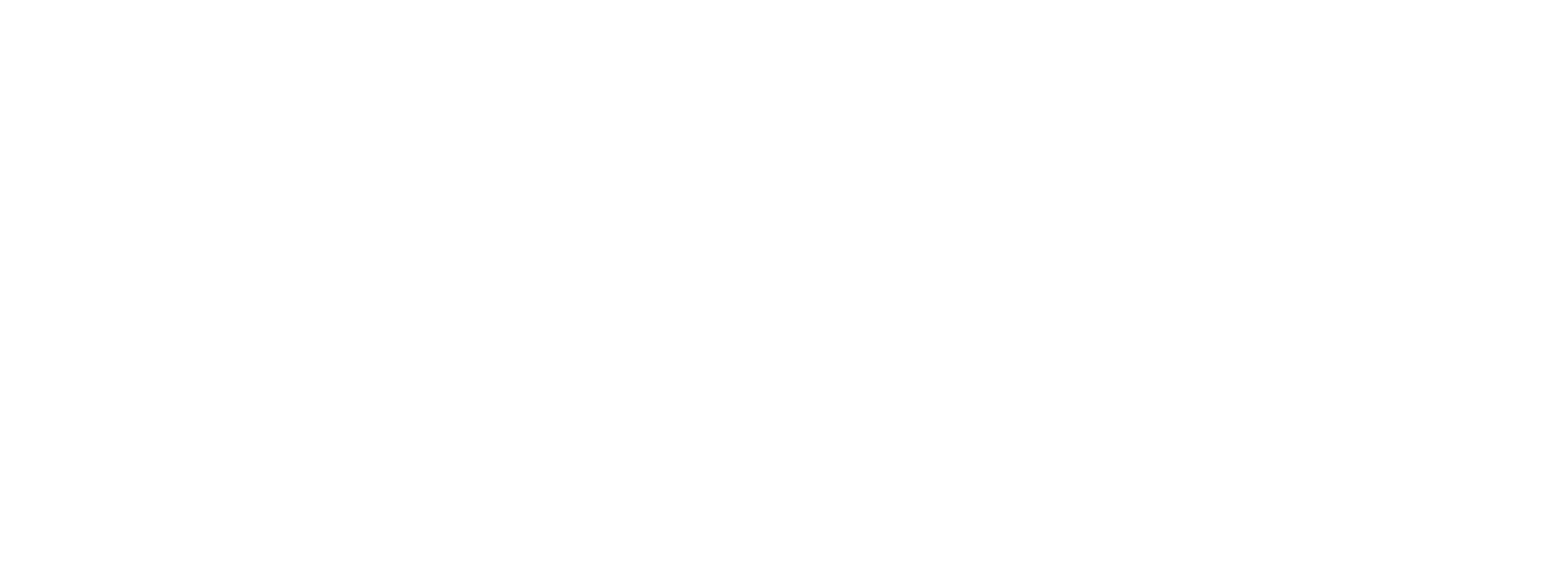 Focusing Initiatives International logo